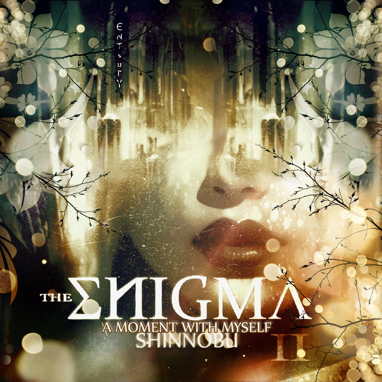 The Enigma II (A Moment With Myself)